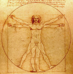 Vitruvian Man - Da Vinci